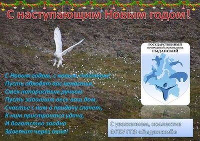 конгресс конгресс