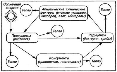 климат