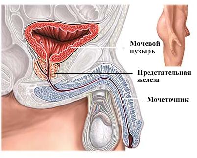 более