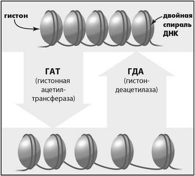 ключ ключ