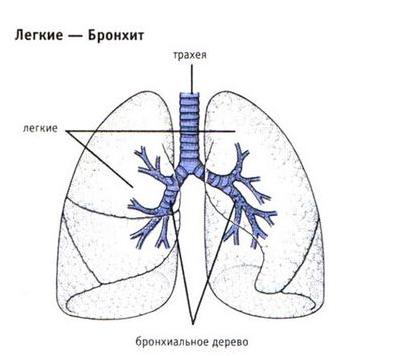 средство