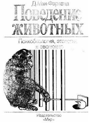 очки очки