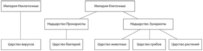 скачок скачок