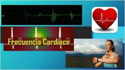 frecuencia frecuencia