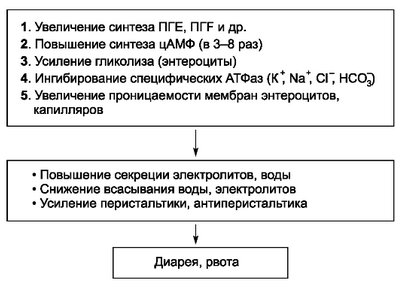 здоровье