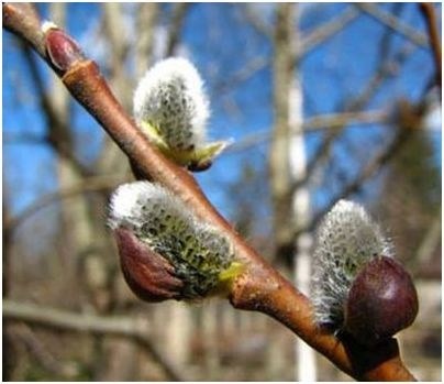 тыщи двенадцать