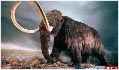 мамонт