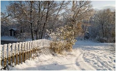 фармацевтических средств