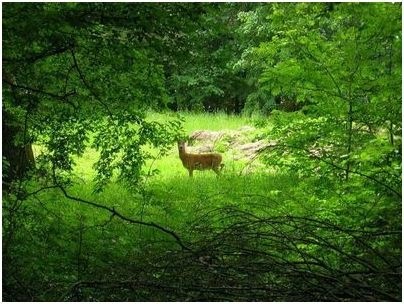 потепление