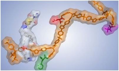 рибосому рибосому