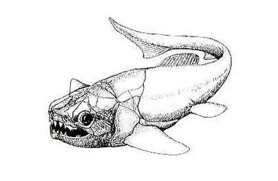 кишечного тракта