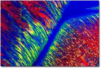 склонность