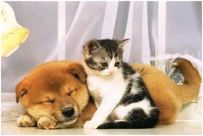 исчезновение