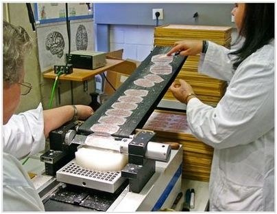 исследование