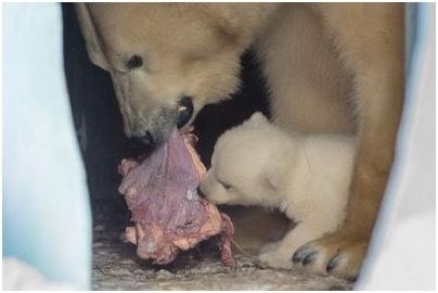 годов назад