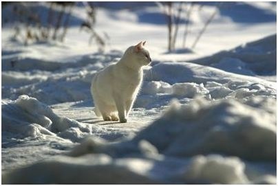 время суток время суток