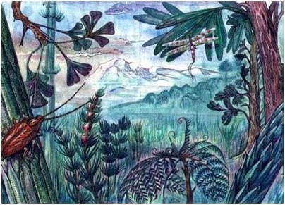 содержание