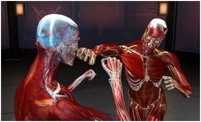 человек человек