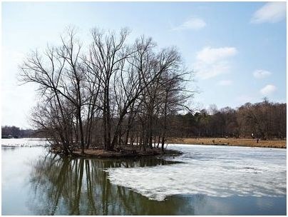 метеоролог