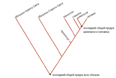 палеонтолог