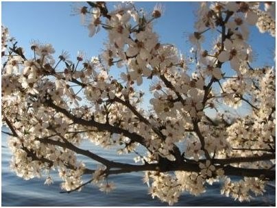 потепление