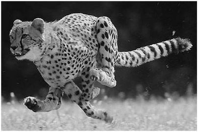 средиземном