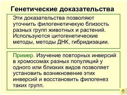 Соеденненых Штатов