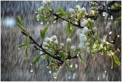 большей части