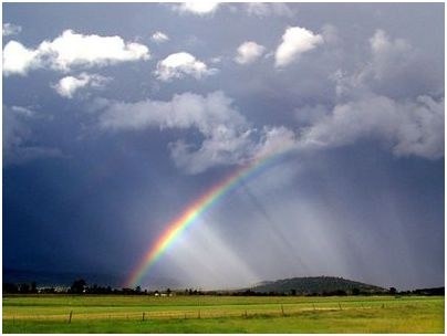 градусов мороза