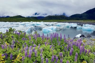 Тихий океан