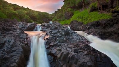 имели возможность