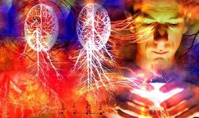 нейробиологи нейробиологи