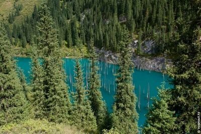 базу данных