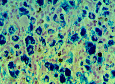 наночастиц