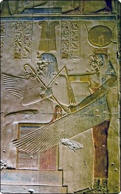 сексуальной зрелости