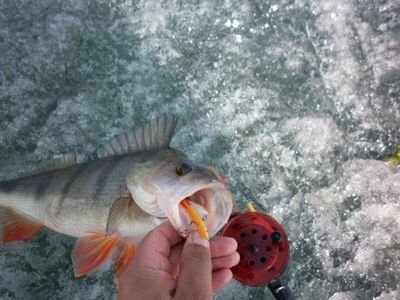 полевых опробований