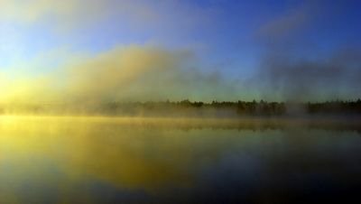 коралл коралл