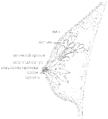 соглашение