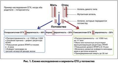 распространение