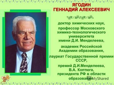 университет