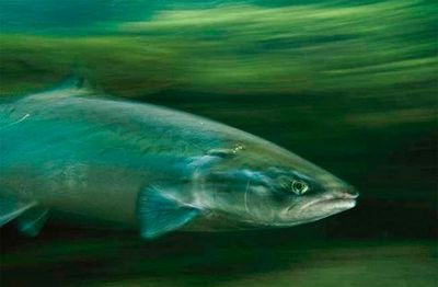 рыбоводного завода