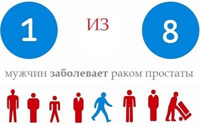 моллюск моллюск