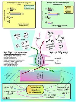 диагностировать