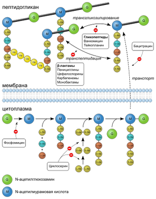 антибиотик антибиотик
