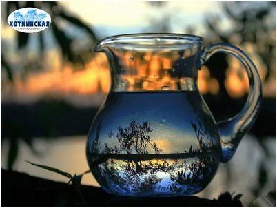 метаболизм