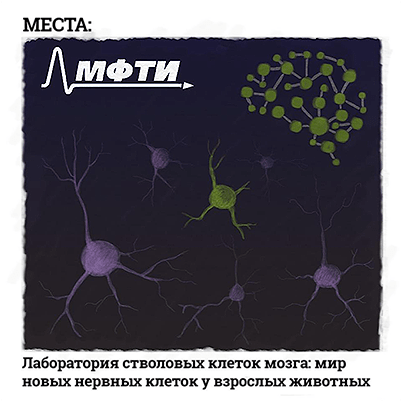 синтетический