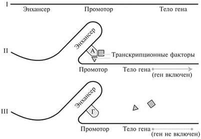 базы данных