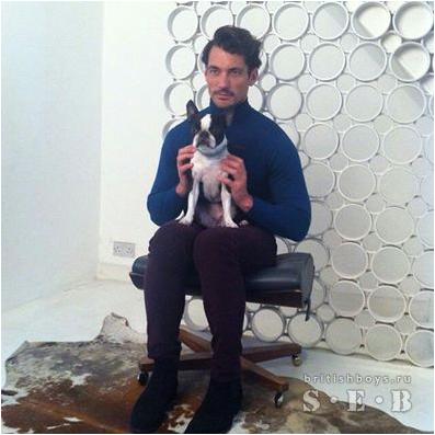 эхолокация