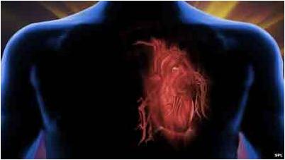 холестерин