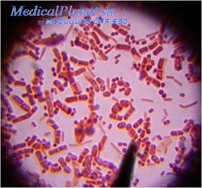 антибиотик